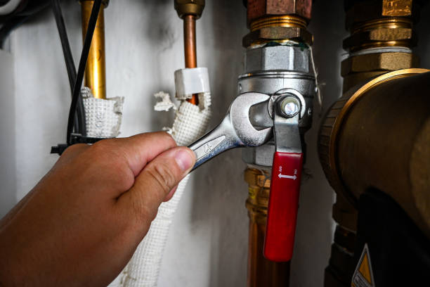 Best Hot Water Heater Installation  in California, MO